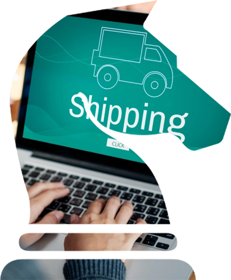 shopify website design comapny Vancouver-1